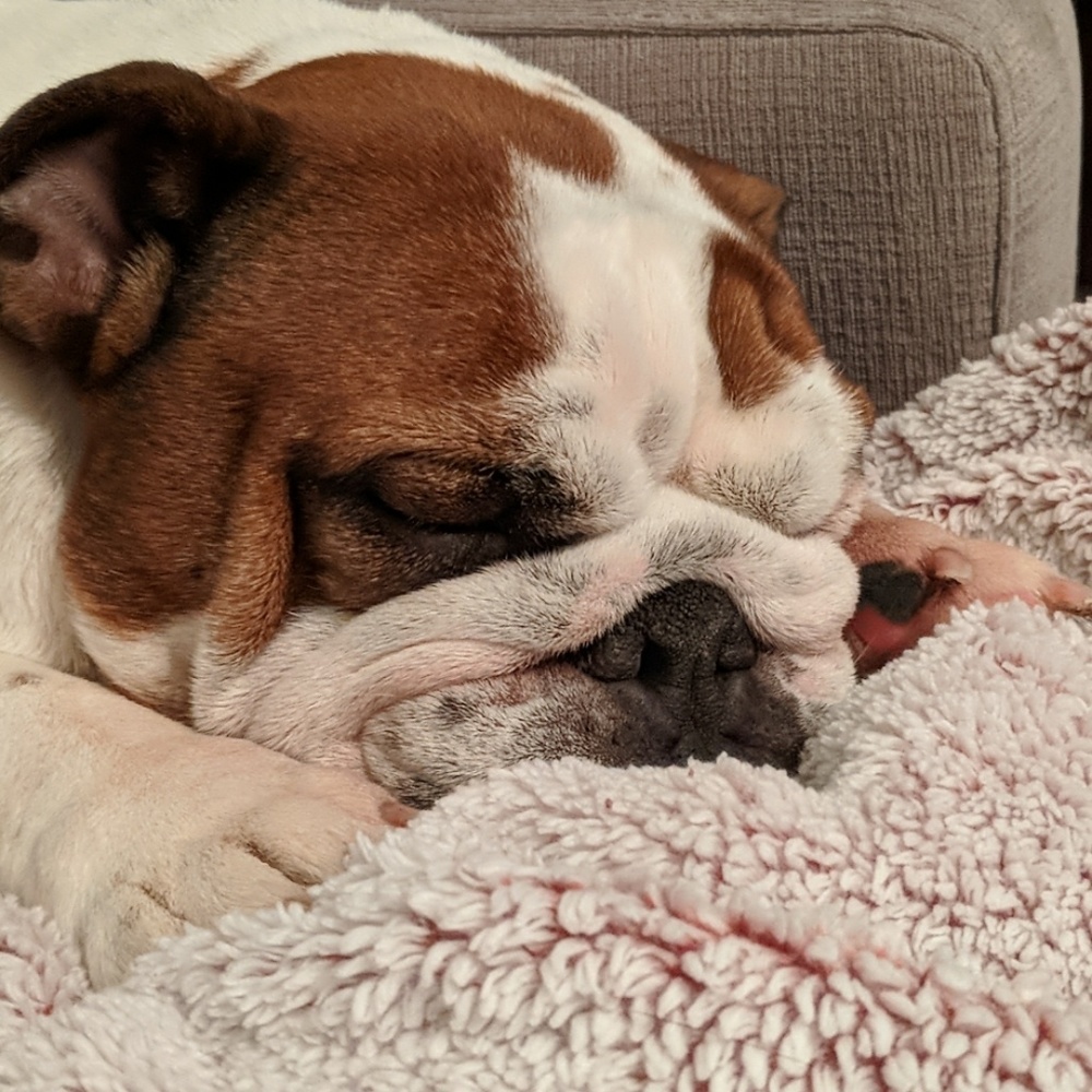 Meet your Posher, Ella